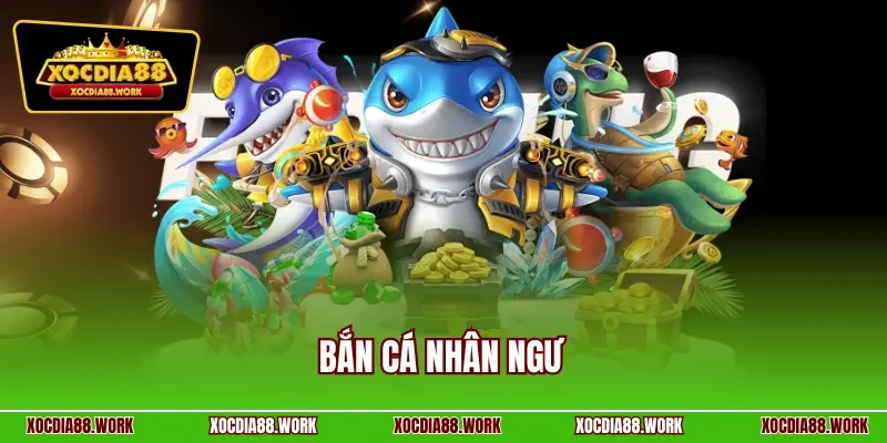 Bắn cá nhân ngư