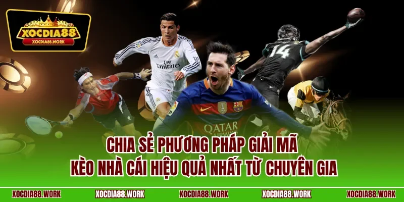 Chia sẻ phương pháp giải mã kèo nhà cái hiệu quả nhất từ chuyên gia