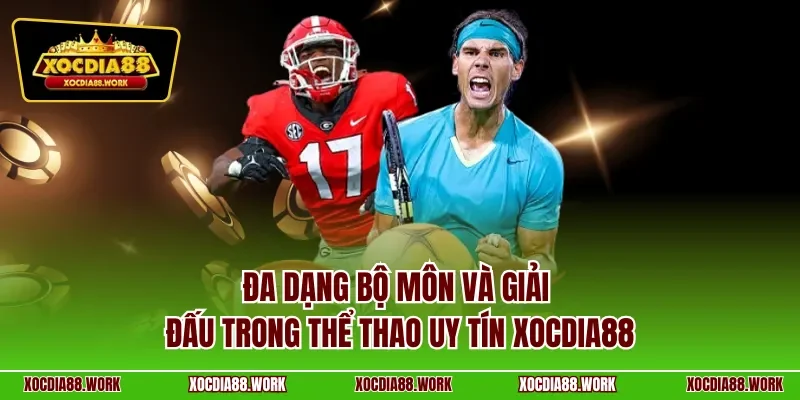 Đa dạng bộ môn và giải đấu trong thể thao uy tín Xocdia88