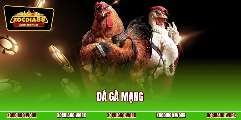 Đá gà mạng