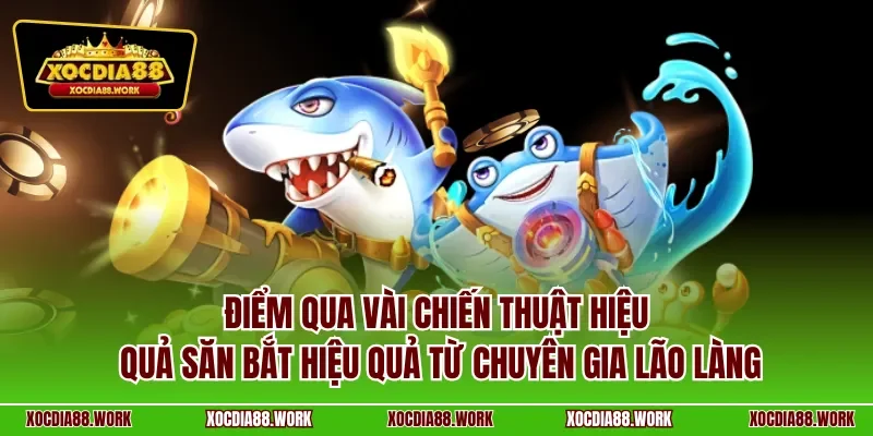 Điểm qua vài chiến thuật hiệu quả săn bắt hiệu quả từ chuyên gia lão làng