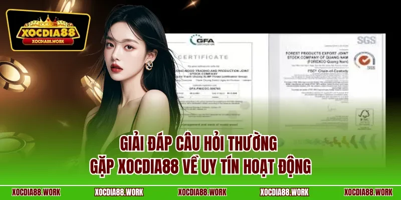 Giải đáp câu hỏi thường gặp XOCDIA88 về uy tin hoạt động