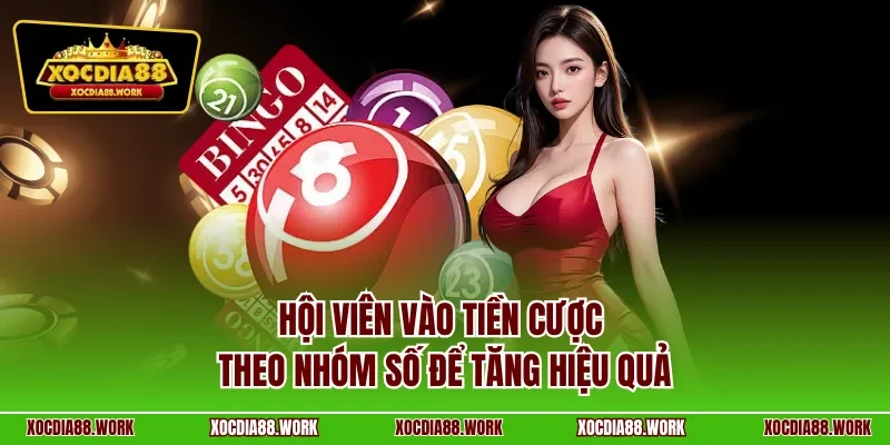 Hội viên vào tiền cược theo nhóm số để tăng hiệu quả