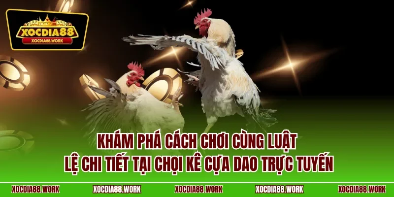 Khám phá cách chơi cùng luật lệ chi tiết tại chọi kê cựa dao trực tuyến