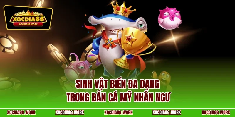 Sinh vật biển đa dạng trong bắn cá mỹ nhân ngư